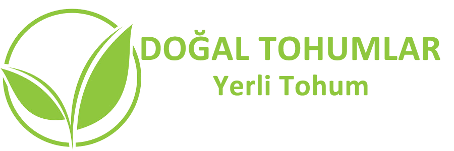 Hediyeler 