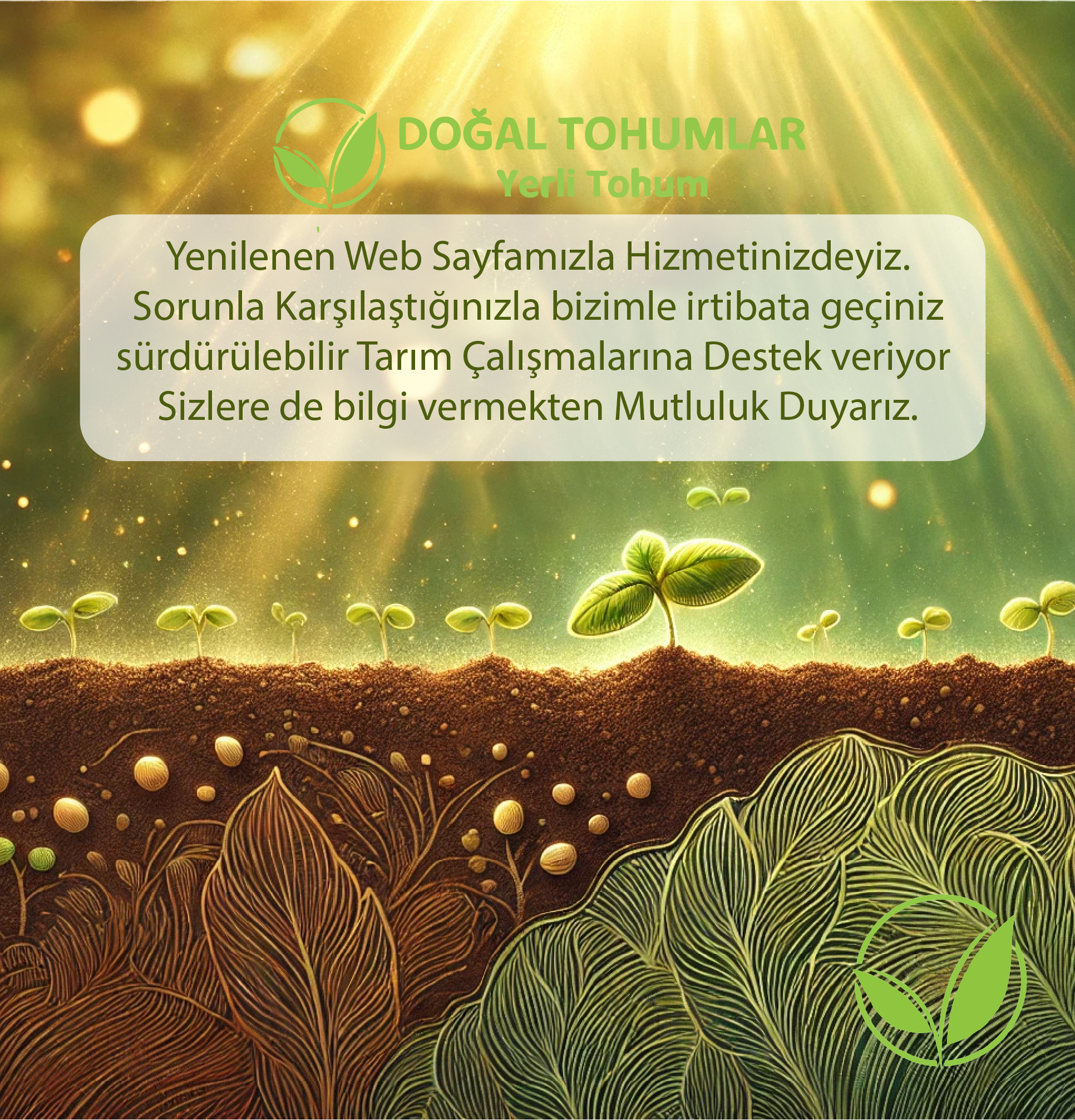 Bizimle Kalın