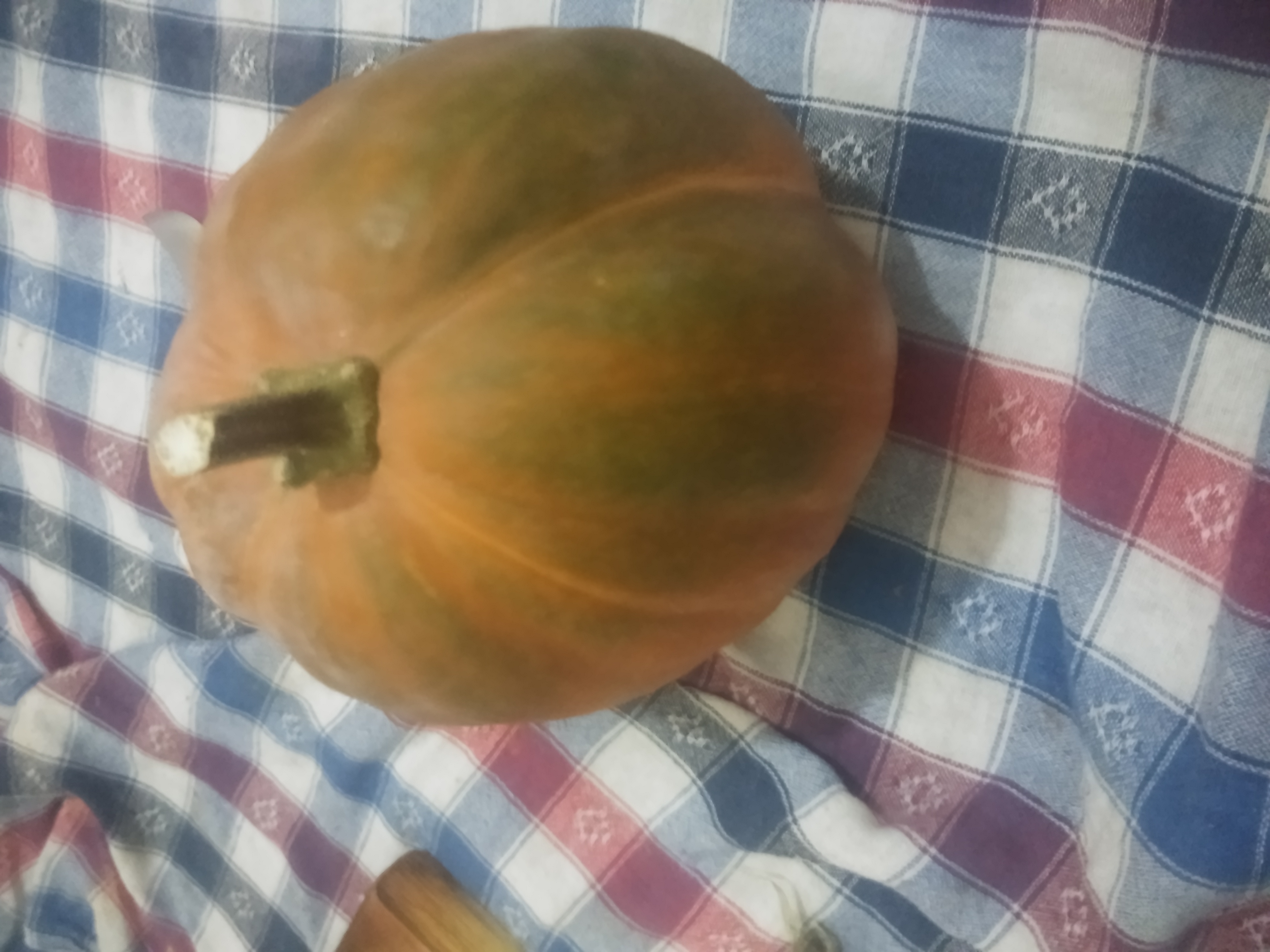 İçi dışı turuncu balkabağı