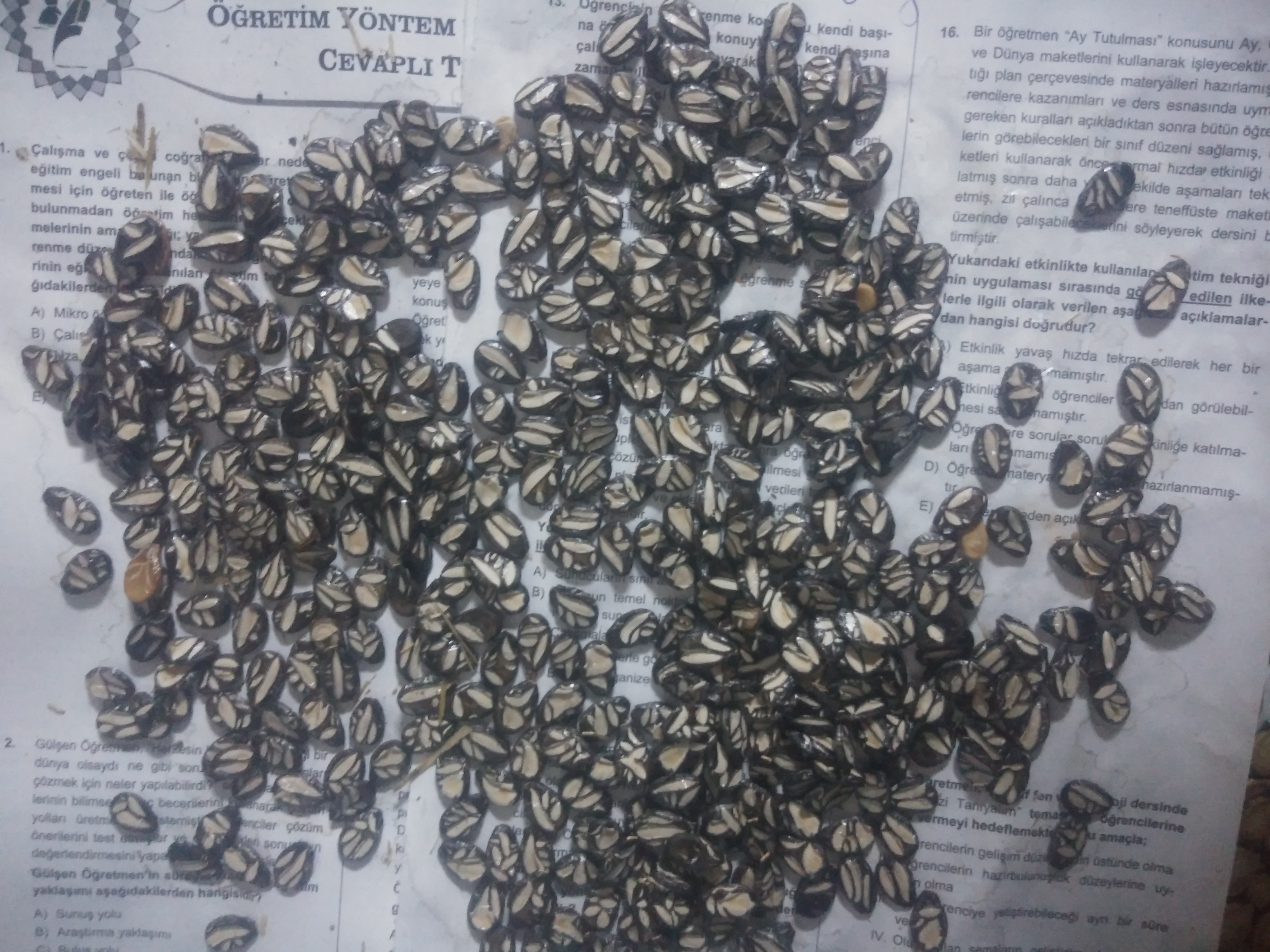 Çekirdeği oyalı karpuz