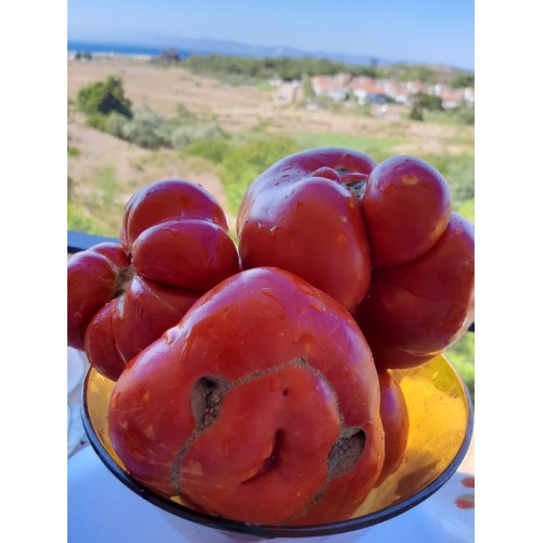 Okka kırmızı Balıkesir domates